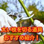 太い枝を切る道具_おすすめ紹介