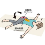 腰方形筋、大殿筋